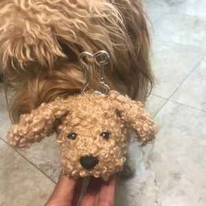 Brown Goldendoodle/Labradoodle Puppy Pocke…